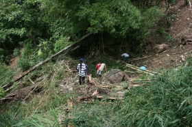 11950148_404375443101078_2283823197377529159_o