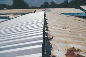 20117671_10211739698622481_547351396_n