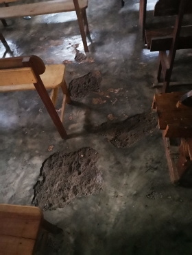 275783695_1627359674282845_4059369296703040754_n