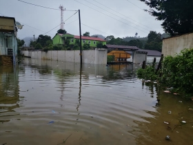 126173231_812345686212880_1692732876410401140_n