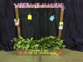 15216259_10207465793865876_1415304811_o