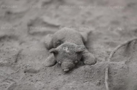 46c62e6d-206f-40c6-a09d-dc9141511111_750_497