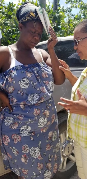 56526713_2532018156825756_5599023382583574528_n