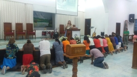 1429c5c6-c63d-4a67-a3b7-e3904259dfd6