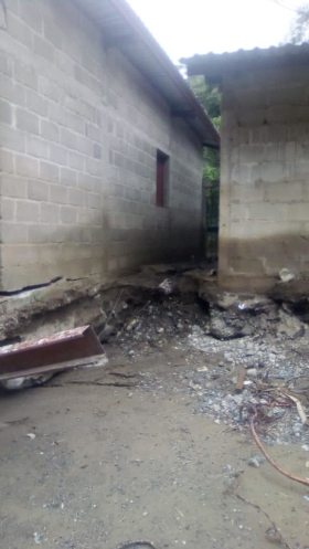 WhatsApp Image 2020-11-22 at 8.43.22 PM