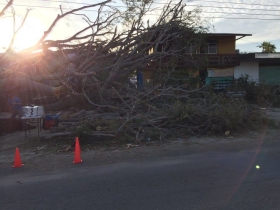 12195045_416940065177949_1235605644325989594_o