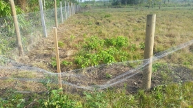 53526737_1066115030261915_7561738413682982912_n