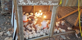 52657055_1056777367862348_24939835705786368_o