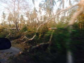 12188119_416939485178007_2133264676456609010_o