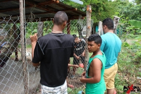 11391549_781133538666646_7535017966877009570_n