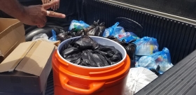 56408585_2532019153492323_3173448702475894784_o