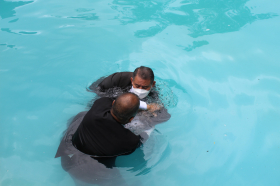 WhatsApp Image 2022-09-22 at 6.07.43 PM (2)