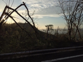 12186845_416939948511294_9126303376875891171_o