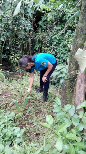 Evangegelismonorte20