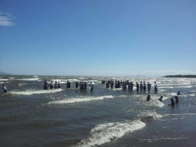 12583993_10205024049312436_1934143433_n