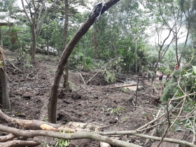 WhatsApp Image 2020-10-09 at 11.55.39 AM