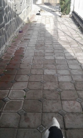 22046649_984233748383831_7404952272262396217_n