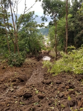 WhatsApp Image 2020-10-09 at 11.55.50 AM