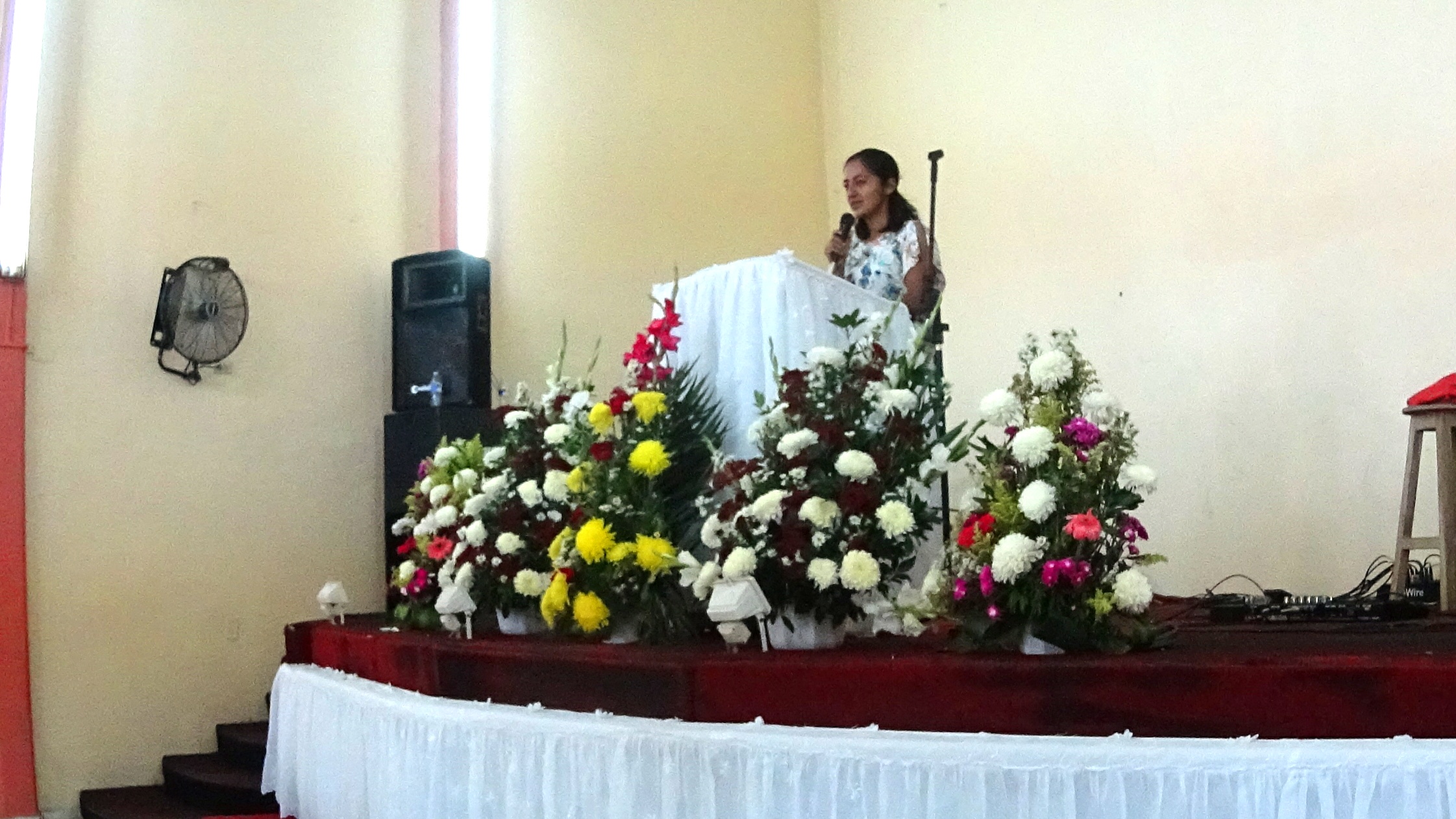 DSC00599