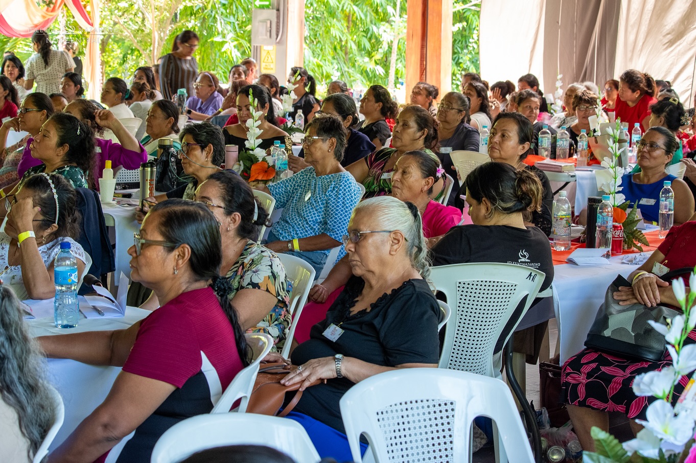 550697044_17914866972189748_3204429733477097645_n