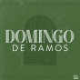 Domingo de ramos.png